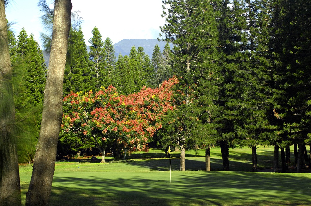 Golf Bags For Sale >> Mililani Golf Club Golf Bags For Sale >> Mililani Golf Club